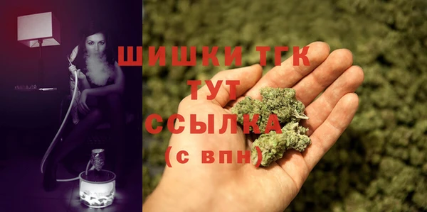 хмурый Гусь-Хрустальный