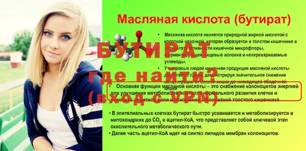 хмурый Гусь-Хрустальный