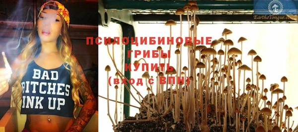 хмурый Гусь-Хрустальный