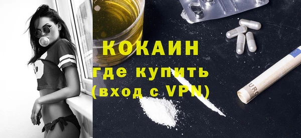хмурый Гусь-Хрустальный