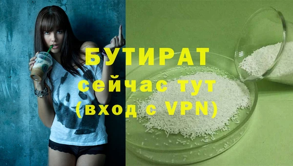 хмурый Гусь-Хрустальный
