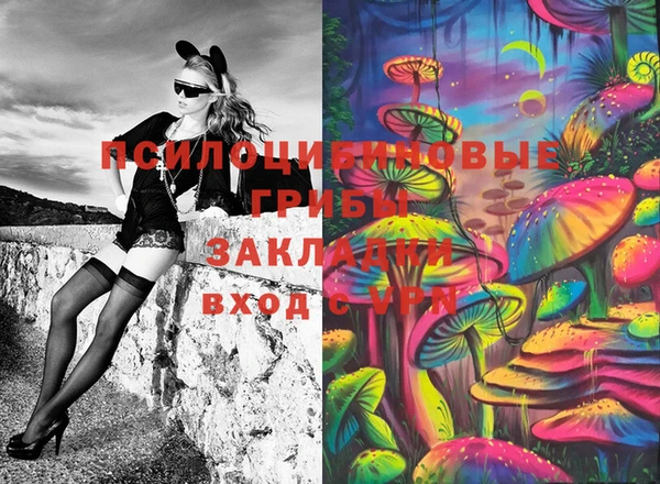 хмурый Гусь-Хрустальный