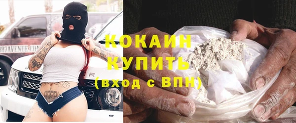 хмурый Гусев