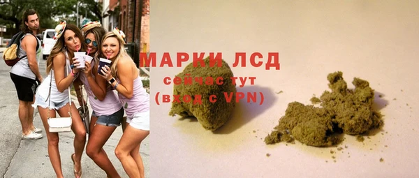 хмурый Гусев